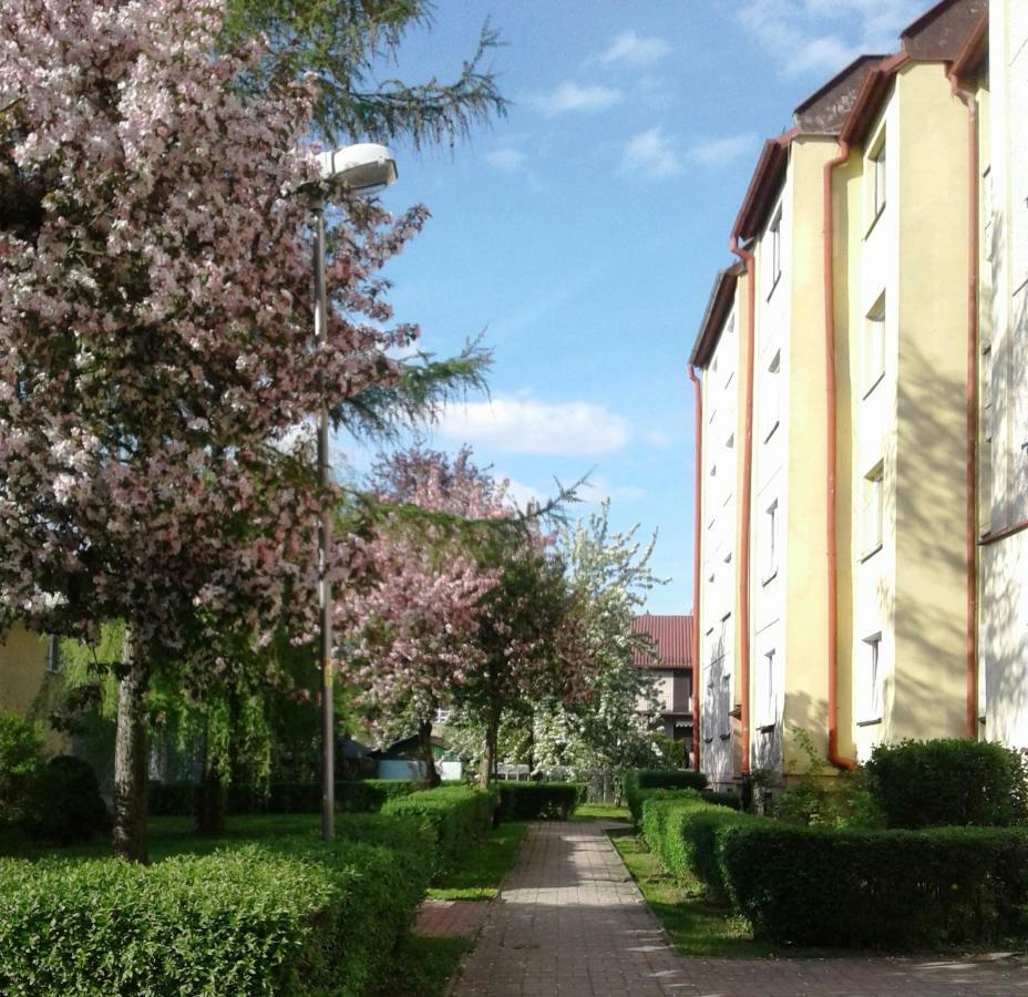 Апартаменты Apartament Jasminowy Кудова-Здруй Экстерьер фото